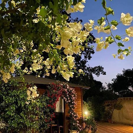 B&B Il Girasole Sant'Anna Arresi Eksteriør billede