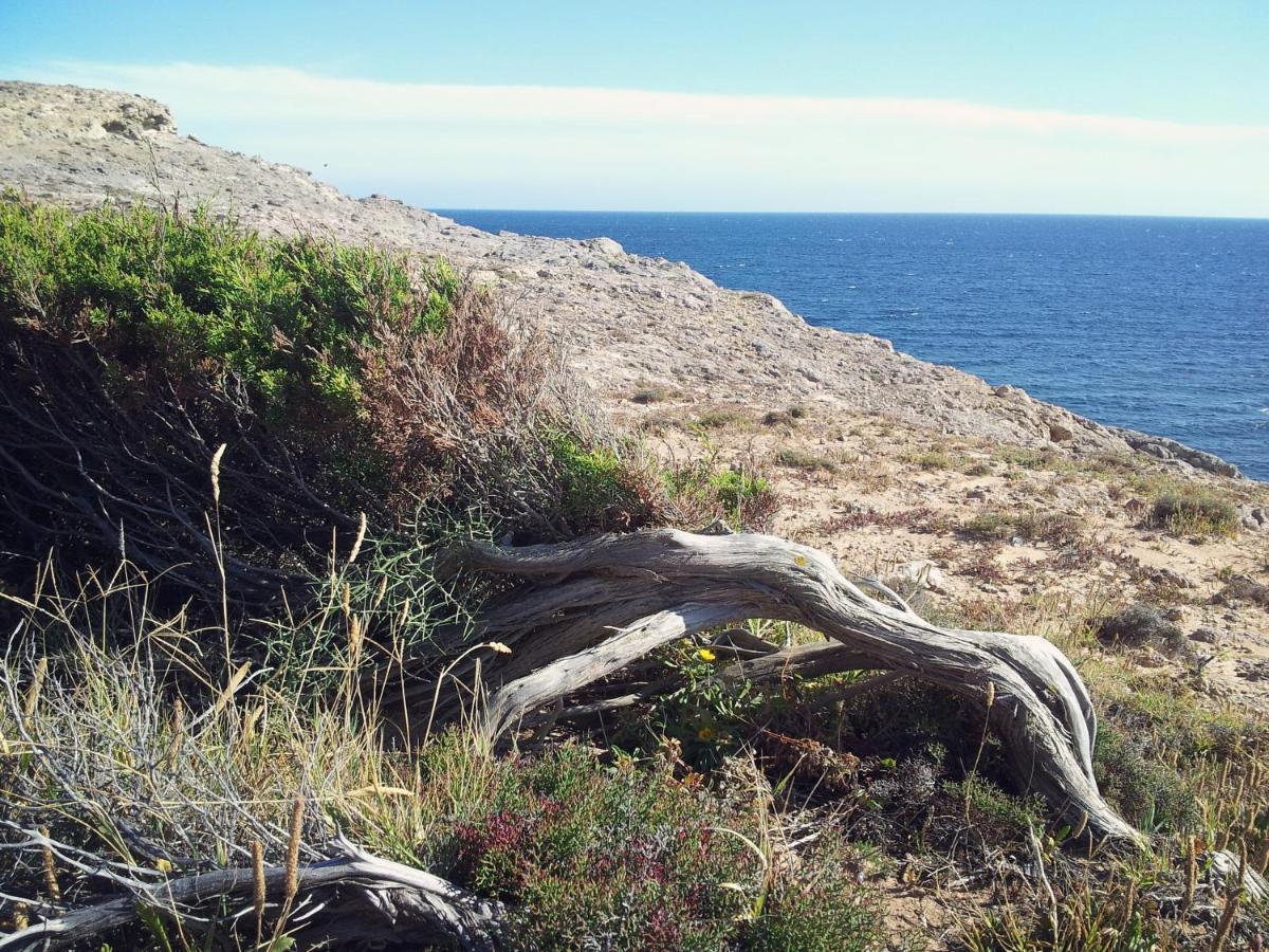 B&B Il Girasole Sant'Anna Arresi Eksteriør billede