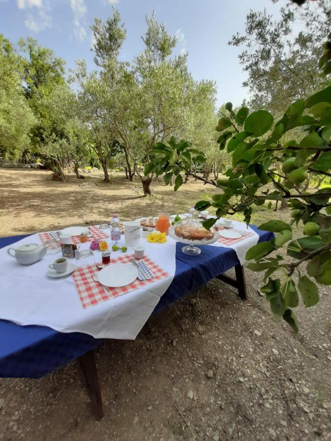B&B Il Girasole Sant'Anna Arresi Eksteriør billede
