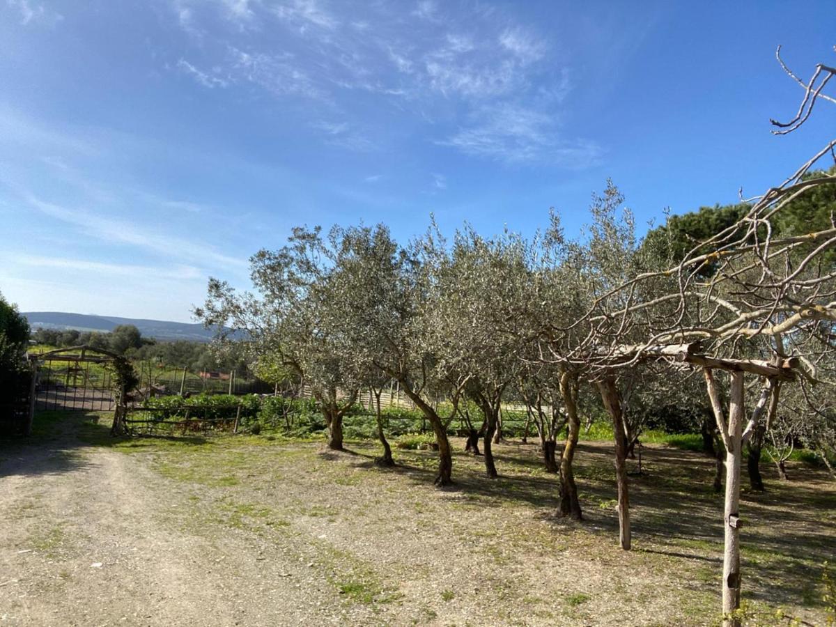 B&B Il Girasole Sant'Anna Arresi Eksteriør billede