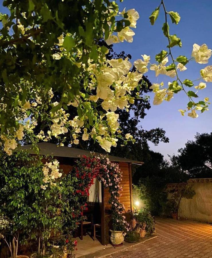B&B Il Girasole Sant'Anna Arresi Eksteriør billede