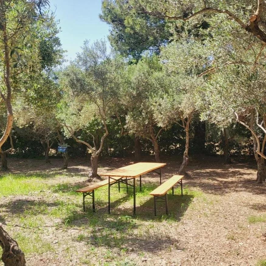 B&B Il Girasole Sant'Anna Arresi Eksteriør billede