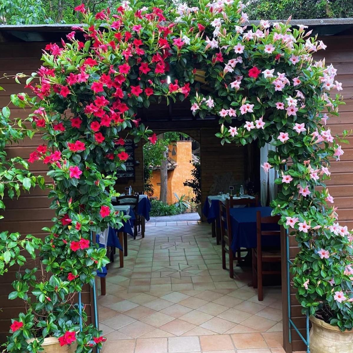B&B Il Girasole Sant'Anna Arresi Eksteriør billede